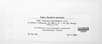 Puccinia leontodontis image